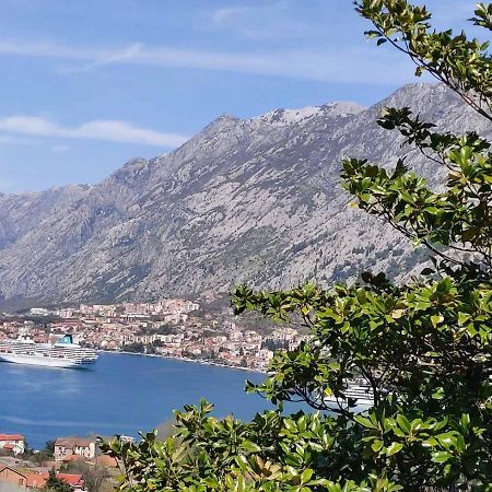Casa Vecchia Villa Kotor Kültér fotó
