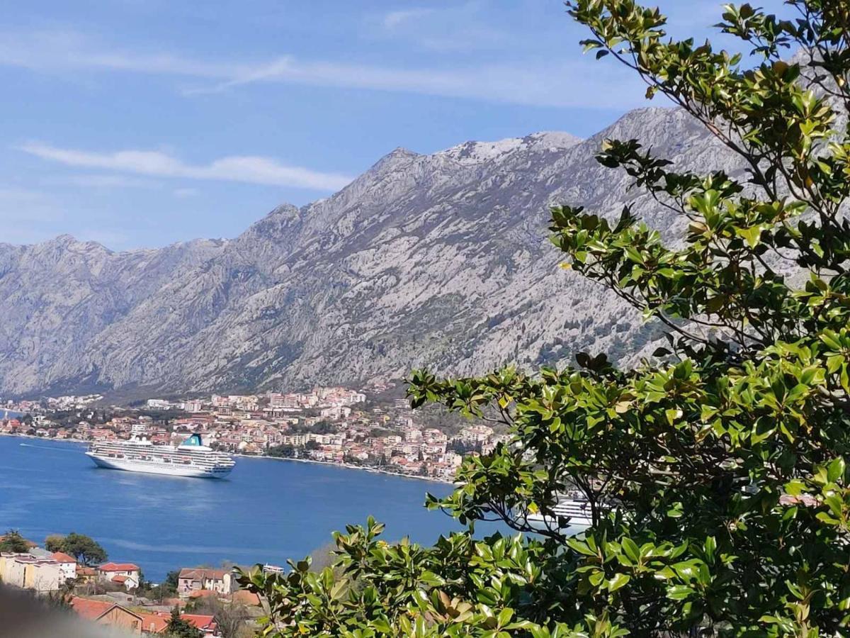 Casa Vecchia Villa Kotor Kültér fotó